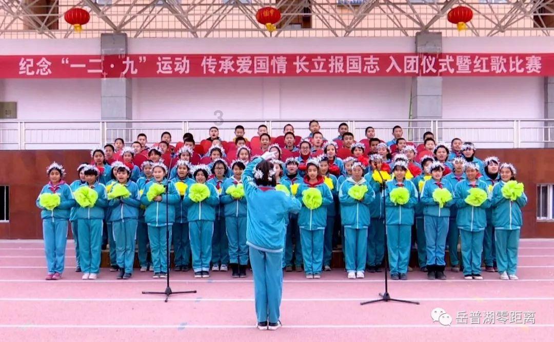 泰拉瑞亚
